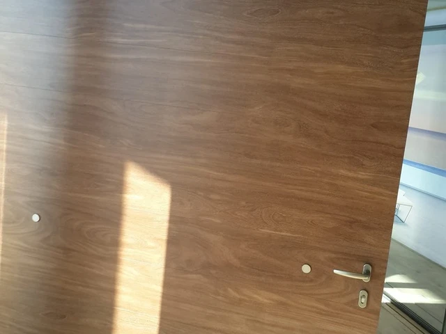 Modern pivot doors